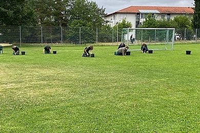 Auszubildende, die auf dem Rasenplatz Unkraut zupfen